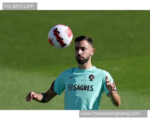 姓菲的足球明星及其辉煌成就探讨与分析